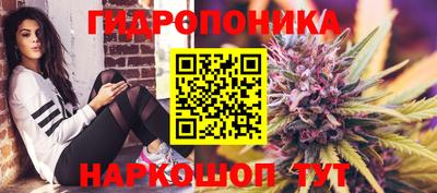 спиды Можга