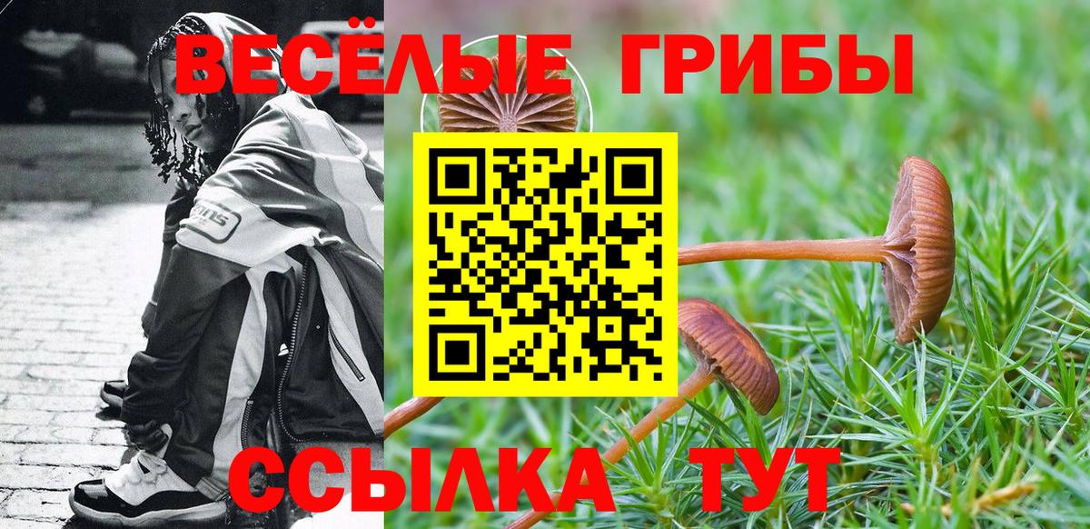 Галлюциногенные грибы мухоморы Елабуга